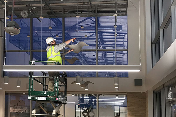 A man installing acoustical ceiling at Google