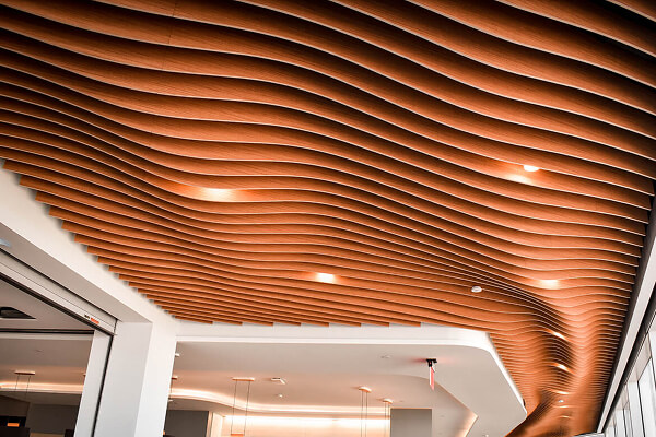Acoustical-card-rs